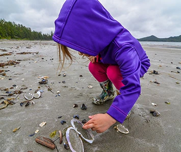 Beachcombing at Moonstone Beach Cambria