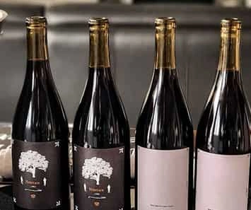 HammerSky Vineyards